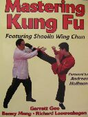 Mastering Kung Fu